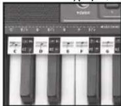 BONTEMPI i Music 15 3790 - EASY CHORD - 1