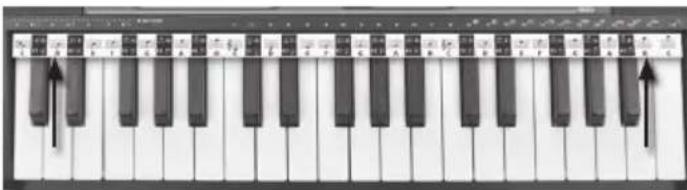 BONTEMPI i Music 15 3790 - NOŠU LĪNIJA - 1