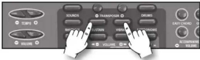 BONTEMPI i Music 15 3790 - Удължаване на звука - 1
