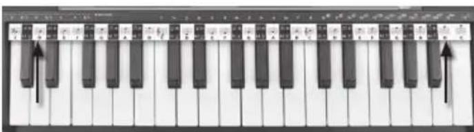 BONTEMPI i Music 15 3790 - KOMPONOWANIE PIOSENKI - 8