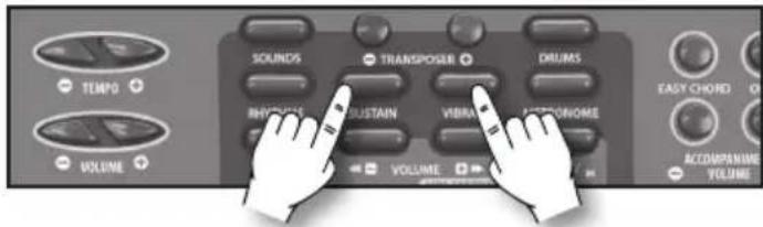 BONTEMPI i Music 15 3790 - Sustain - 1