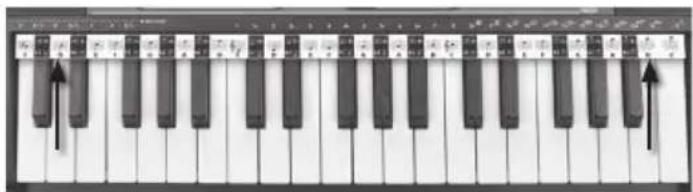 BONTEMPI i Music 15 3790 - KOTTASZALAG - 1