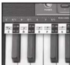 BONTEMPI i Music 15 3790 - EASY CHORD - 1