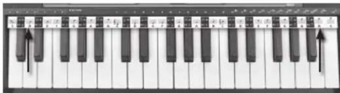 BONTEMPI i Music 15 3790 - NUOTTIVIIVASTO - 1
