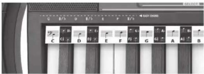 BONTEMPI i Music 15 3790 - OS ACORDES - 1