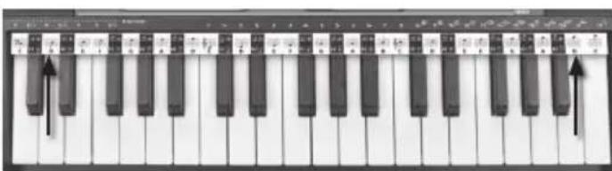 BONTEMPI i Music 15 3790 - NOTELINJE-STRIPE - 1