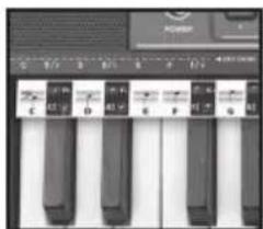 BONTEMPI i Music 15 3790 - EASY CHORD - 1