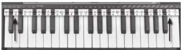 BONTEMPI i Music 15 3790 - NOODIJOONESTIKU RIBA - 1