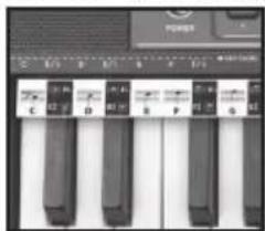 BONTEMPI i Music 15 3790 - EASY CHORD - 1