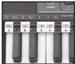 BONTEMPI i Music 15 3790 - EASY CHORD - 1