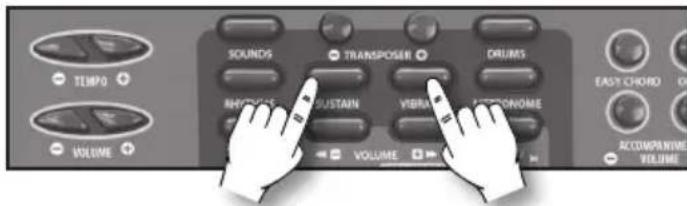 BONTEMPI i Music 15 3790 - Sustain - 1