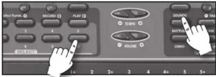 BONTEMPI i Music 15 3790 - SOUNDS - 1