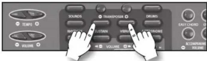 BONTEMPI i Music 15 3790 - Sustain - 1
