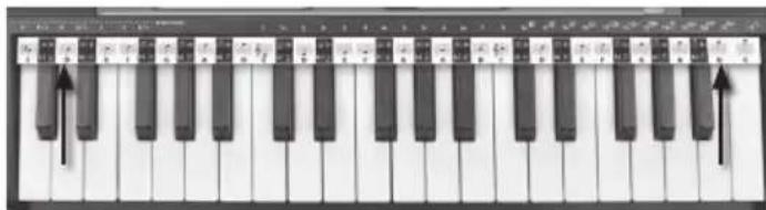 BONTEMPI i Music 15 3790 - PÁSIK S NOTOVOU OSNOVOU - 1