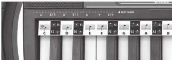 BONTEMPI i Music 15 3790 - CHORDS - 1