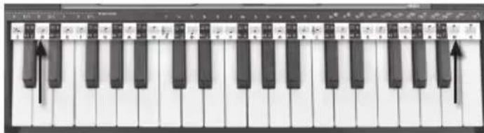 BONTEMPI i Music 15 3790 - NOTNO ČRTOVJE - 1