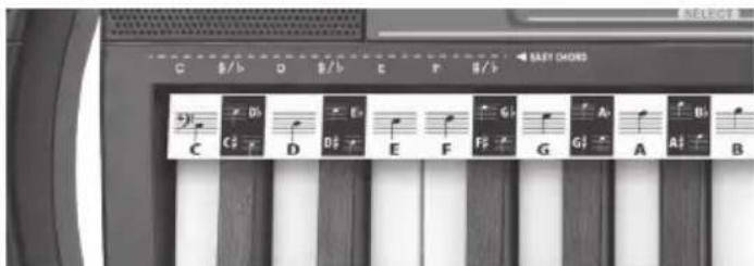BONTEMPI i Music 15 3790 - ΣΥΓΧΟΡΔΙΕΣ - 1