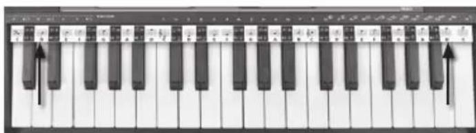 BONTEMPI i Music 15 3790 - VYTVOŘENÍ HUDEBNÍ SKLADBY - 8