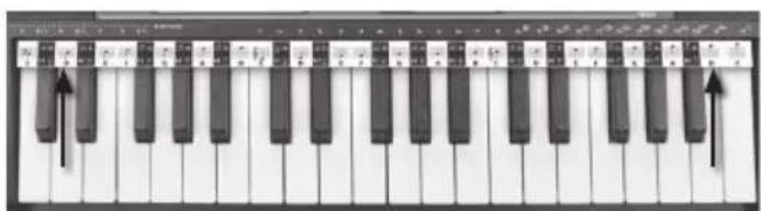 BONTEMPI i Music 15 3790 - NOTENZEILE - 1