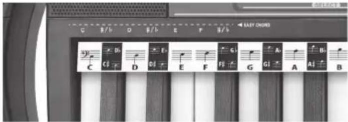 BONTEMPI i Music 15 3790 - DE AKKOORDEN - 1