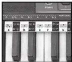 BONTEMPI i Music 15 3790 - EASY CHORD - 1