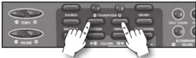 BONTEMPI i Music 15 3790 - Sustain - 1