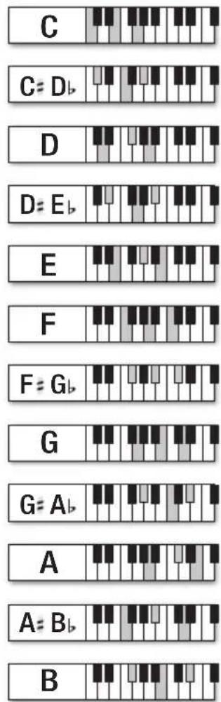 BONTEMPI i Music 15 3790 - SKLADBY - 4