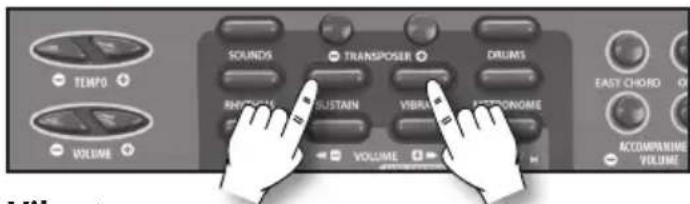 BONTEMPI i Music 15 3790 - Sustain - 1