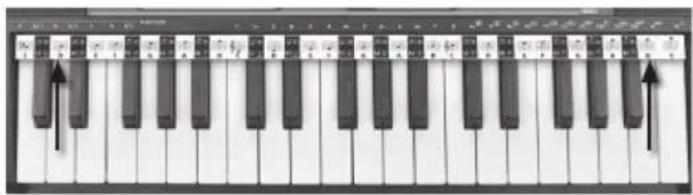 BONTEMPI i Music 15 3790 - BANDE Pentagramme - 1