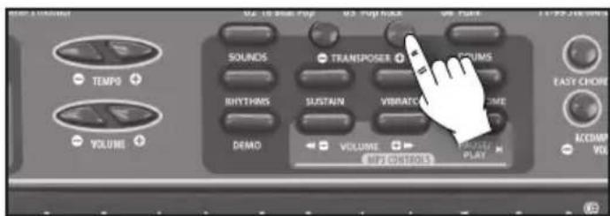 BONTEMPI i Music 15 3790 - FREKVENČU PĀRVEIDOTĀJS - 1