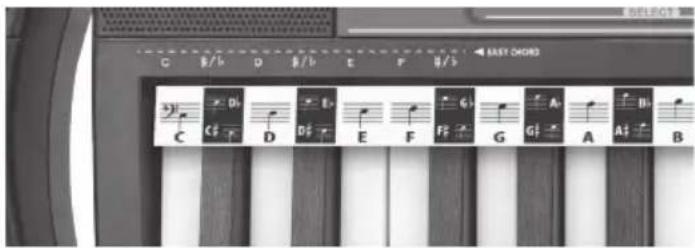 BONTEMPI i Music 15 3790 - NA CORDAÍ - 1