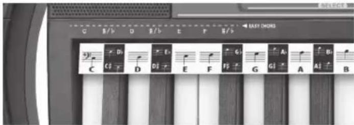 BONTEMPI i Music 15 3790 - AKORDI - 1
