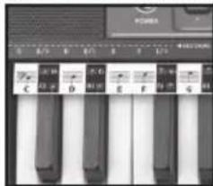 BONTEMPI i Music 15 3790 - EASY CHORD - 1