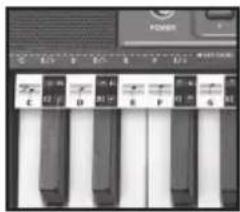 BONTEMPI i Music 15 3790 - EASY CHORD - 1