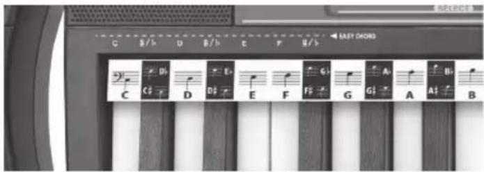 BONTEMPI i Music 15 3790 - Les accords - 1