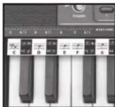 BONTEMPI i Music 15 3790 - EASY CHORD - 1