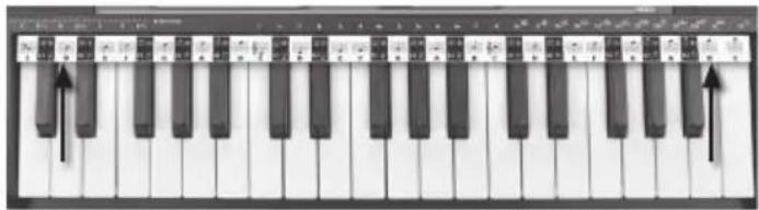 BONTEMPI i Music 15 3790 - ЛЕНТА С ПЕТОЛИНИЕ - 1