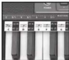 BONTEMPI i Music 15 3790 - EASY CHORD - 1