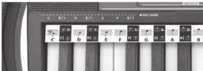 BONTEMPI i Music 15 3790 - ACKORD - 1