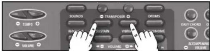 BONTEMPI i Music 15 3790 - Sustain - 1