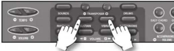 BONTEMPI i Music 15 3790 - Sustain - 1