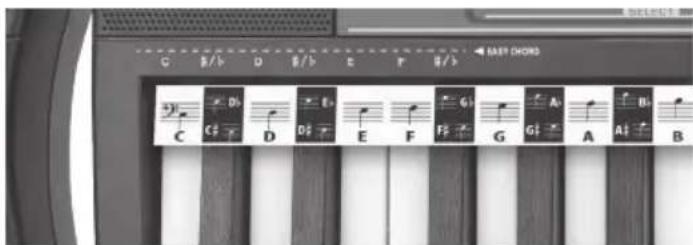 BONTEMPI i Music 15 3790 - AKORDY - 1