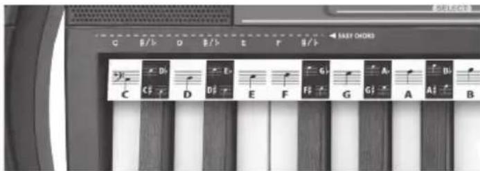BONTEMPI i Music 15 3790 - GLI ACCORDI - 1