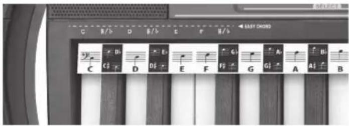 BONTEMPI i Music 15 3790 - NODELINJER - 2