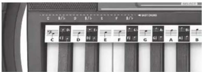 BONTEMPI i Music 15 3790 - AKORDAI - 1