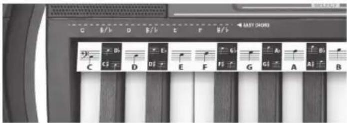 BONTEMPI i Music 15 3790 - AKKORDOK - 1