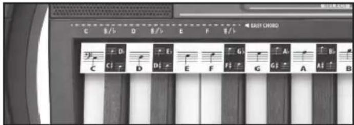 BONTEMPI i Music 15 3790 - AKORD - 1
