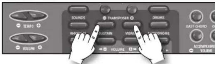 BONTEMPI i Music 15 3790 - Sustain - 1