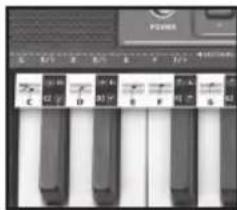 BONTEMPI i Music 15 3790 - EASY CHORD - 1