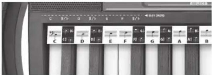 BONTEMPI i Music 15 3790 - СЪПРОВОД - 1